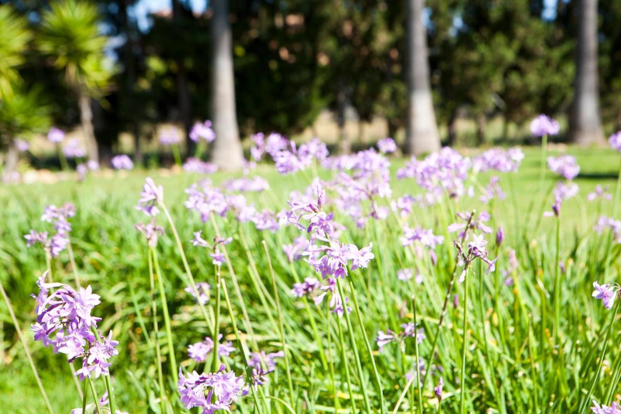 Вілла S'Hort De Son Caulelles - Adults Only Marratxi Екстер'єр фото